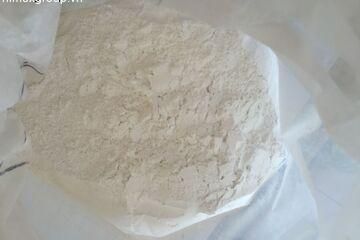 NIMEX 25